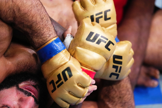 Перчатки UFC